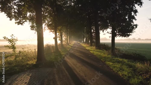 4k high resolution stock video, Scenic Autumn Park Road with Trees and Foggy Morning Landscape, Peaceful Country Lane Through Forest Nature Path Under Clear Sky