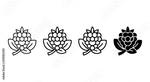 Blackberry Icons Set, Fresh Berry Vector Graphics, Healthy Fruit Symbols, Organic Food Illustrations