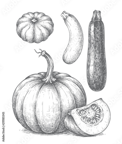 Obraz na płótnie Vintage engraved garden vegetable collection featuring pumpkin zucchini squash a
