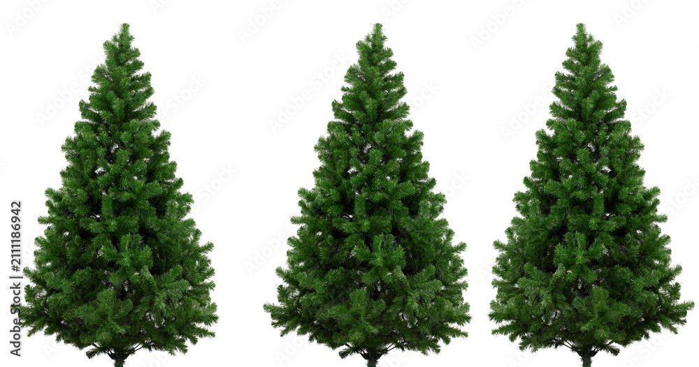 Fototapeta premium Christmas tree on white background