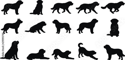Foto Saint, Bernard, dog, silhouette, vector, set, collection, standing, sitting, run