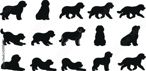 Konstfotografi Goldendoodle, dog, silhouette, vector, set, collection, standing, sitting, runni