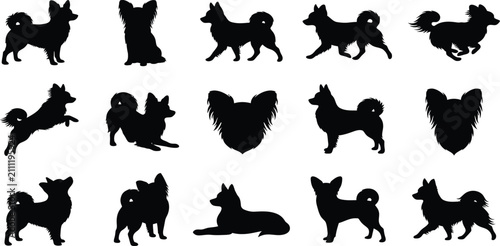 Canvastavla Papillon, dog, silhouette, vector, set, collection, standing, sitting, running,