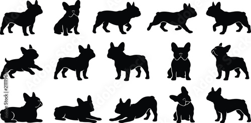 Fotografie French, Bulldog, dog, silhouette, vector, set, collection, standing, sitting, wa