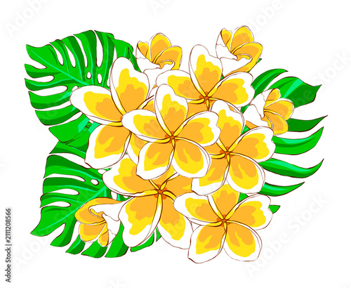 Tropical plumeria flowers with monstera leaves. Hand drawn flat cartoon illustration. Floral design for fabric, wallpaper, packaging, prints, cards, stickers and summer decor.