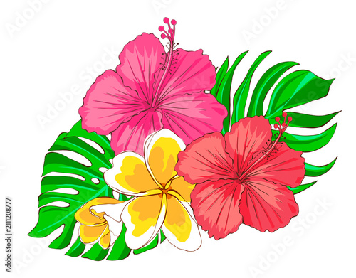 Tropical flowers plumeria and hibiscus flowers with monstera leaves. Hand drawn flat illustration. Floral design for fabric, wallpaper, packaging, prints, cards, stickers and summer decor.
