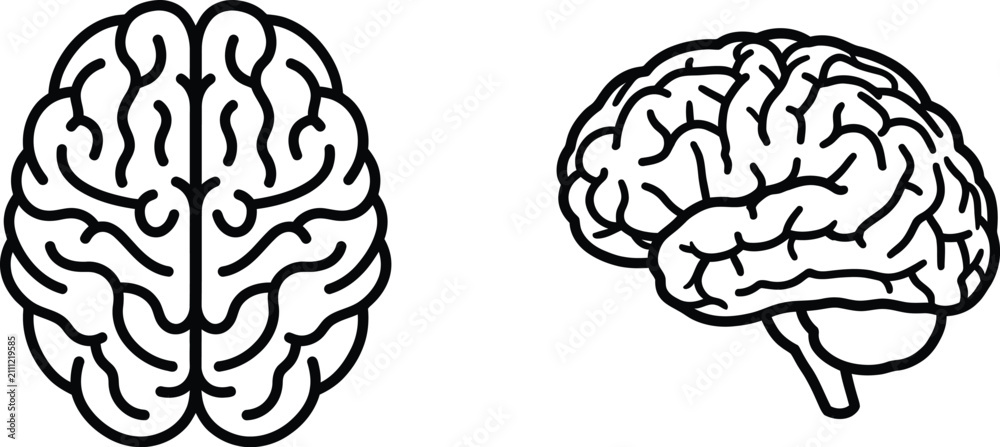 Fototapeta premium Human Brain Anatomy Outline Icons Front and Side View Medical Vector Illustration