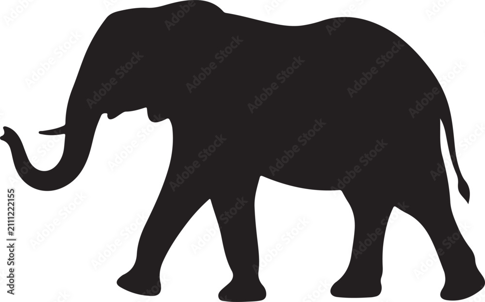 Fototapeta premium Black silhouette elephant walking