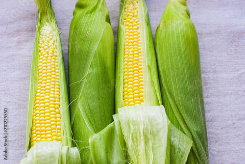 Canvas Print fresh sweetcorn on the cob