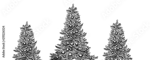 Obraz na plátně A detailed black and white engraving-style illustration featuring three vintage