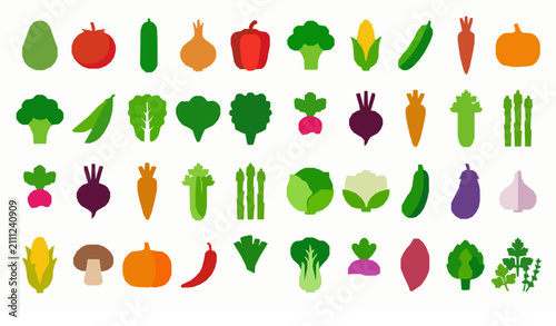 Modern Flat Vegetable Collection Healthy Salad Ingredients Vector