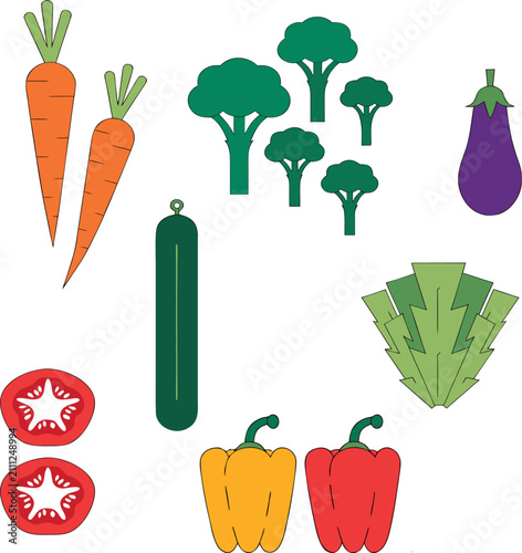 Flat Vector Illustration Set of Assorted Fresh Organic Vegetables