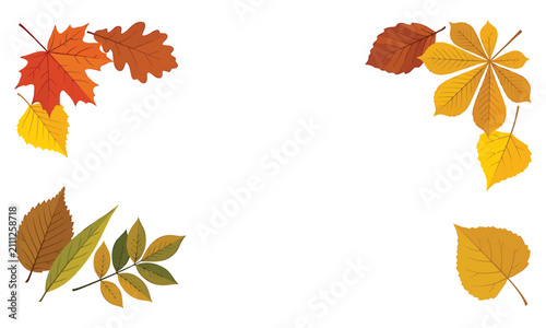 Autumn leaf corner frames with colorful fall foliage on white background area