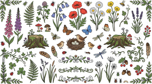 Vintage forest wildflower vector collection with poppies foxgloves bluebells clover lavender tree stumps and bird nest