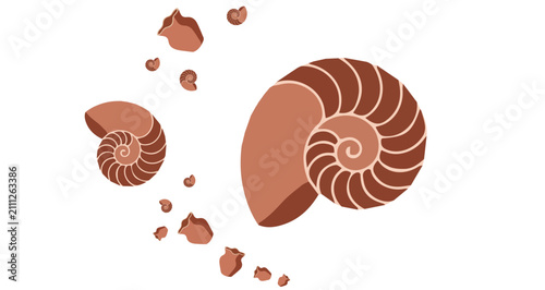 Foto Elegant spiral seashells in earthy brown shades with fragmented pieces on white