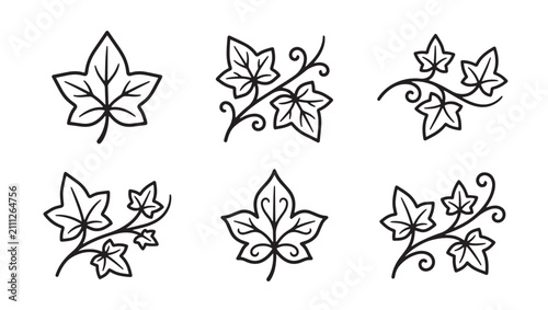 Set of hand drawn ivy leaf icons and botanical sprigs for nature design elements with botanical handdrawn illustration climbing isolated monochrome collection ornament stylized environment