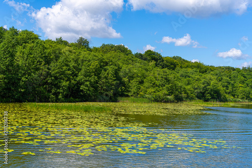 Naturlandschaft rund um die Rheinsberger Seenplatte, Rheinsberg, Brandenburg, Deutschland