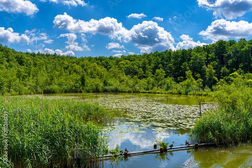 Naturlandschaft rund um die Rheinsberger Seenplatte, Rheinsberg, Brandenburg, Deutschland