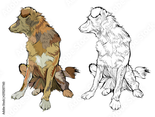 Illustration of a sad sitting yard dog. Colorful and black and white page for coloring book. Drawing for a veterinary clinic. Animals for kids. Hand drawn flat vector. Printable worksheet for children