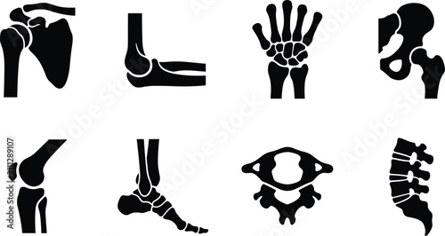 Bild auf Leinwand Human Skeleton Joints Anatomy Vector Silhouette Icons Set Including Shoulder Kne