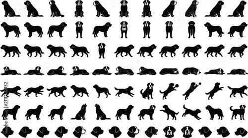 Canvastavla Large set of black Saint Bernard dog silhouettes in various poses vector illustr