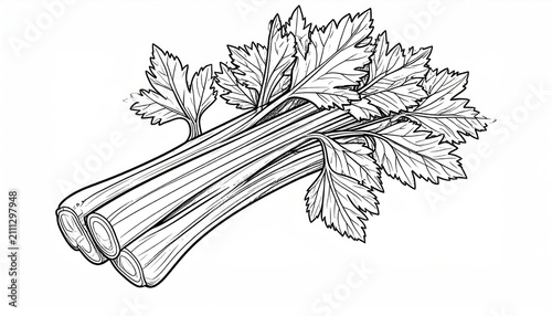 Three hand drawn celery stalks with bushy leaves.