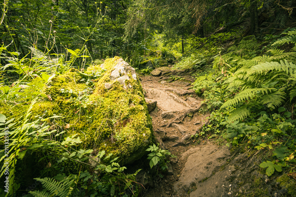 Obraz premium Discover the enchanting Moulin de Chambeuil in the Cantal region of Auvergne France, where a historic stone mill, crystal clear streams and lush forests create a landscape.