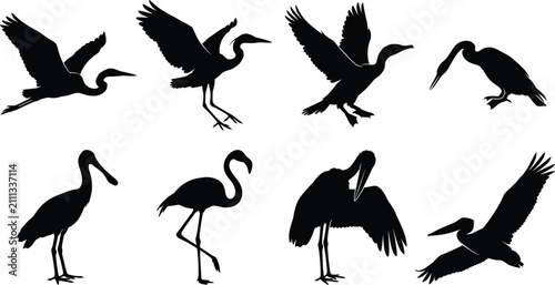 Collection of black silhouette water birds in flying and standing poses isolated on a white background