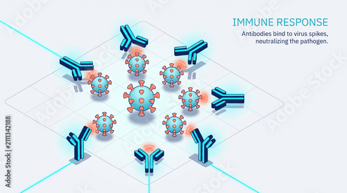 Educational isometric diagram illustrating the immune response process of antibodies binding to virus spikes to neutralize pathogens