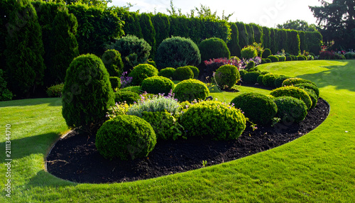 Beautifully manicured garden with lush green lawn and sculpted bushes.