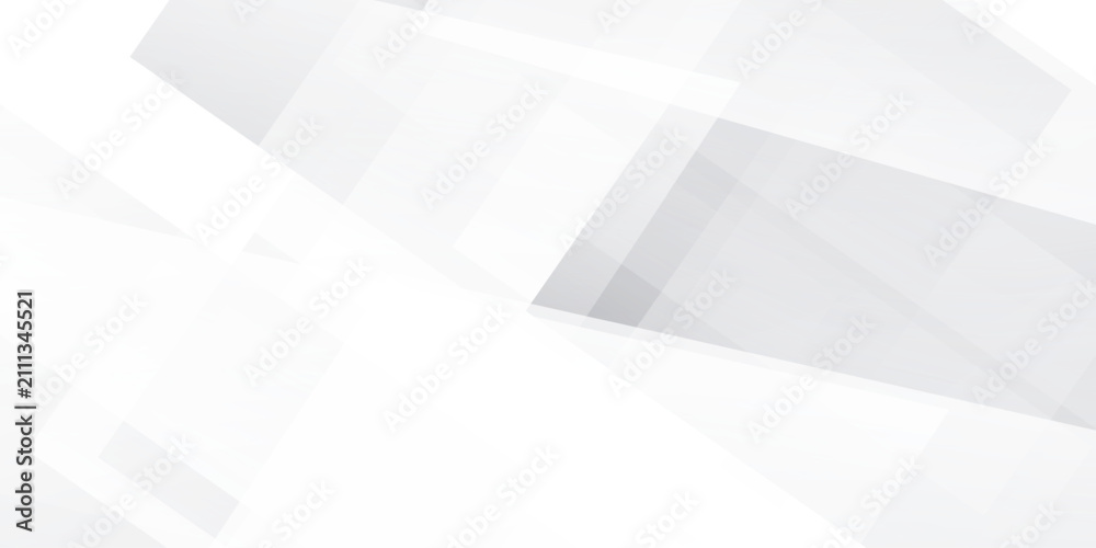 Obraz premium Abstract white and gray background. smooth abstract background, blurred pattern.