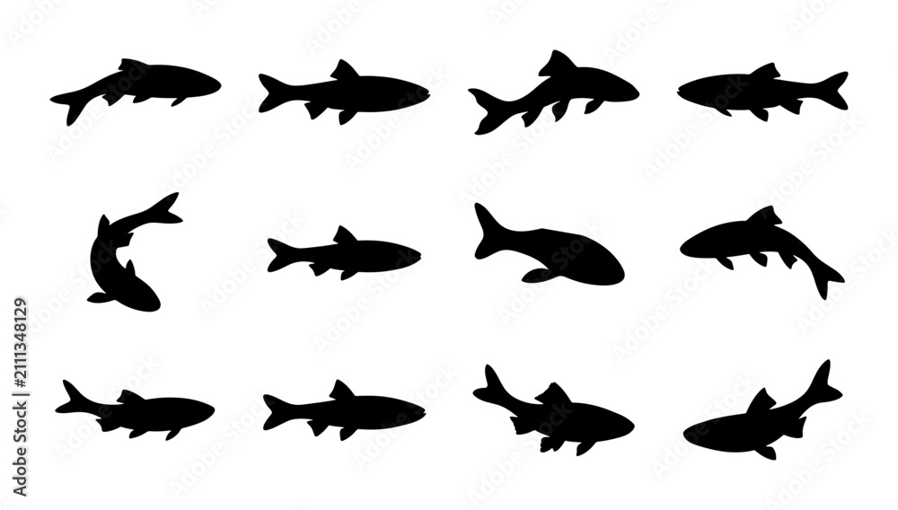 Obraz premium Vector Fish Silhouettes Collection, Aquatic Animal Icons, Marine Life Shapes, Seafood Design Elements, 12 Black Icons