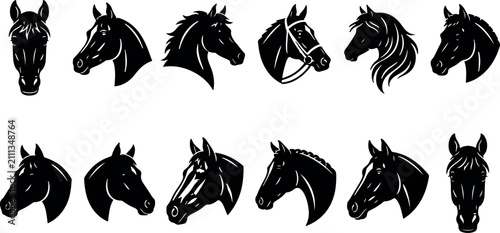 Bild auf Leinwand A collection of twelve hand drawn black horse head silhouettes isolated on a whi
