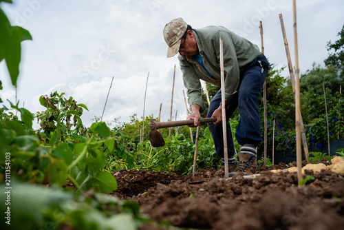 Senior farmer hoeing soil