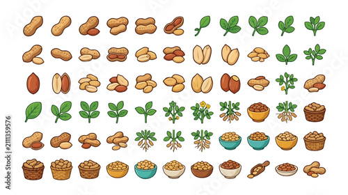 Photos Peanut vector icon set, a comprehensive collection of groundnut illustrations, f