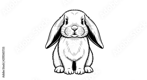 Cute Lop Eared Rabbit Line Art Illustration