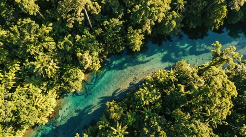 Quadro su tela Top Down Aerial View of Crystal Clear Blue River Flowing Through Lush Tropical J