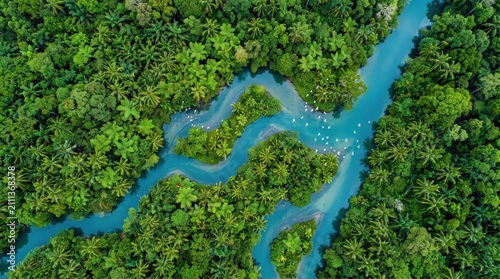 фотографія Aerial View of a Winding Blue River Flowing Through Lush Green Tropical Rainfore
