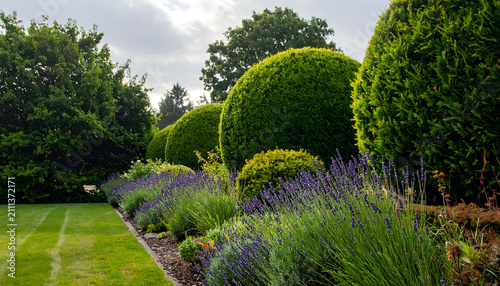 Beautifully manicured garden with spherical topiary and lavender border.