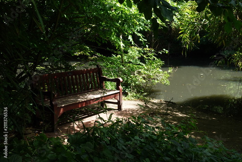 Empty wooden bench by the river in a peaceful forest shade at daytime