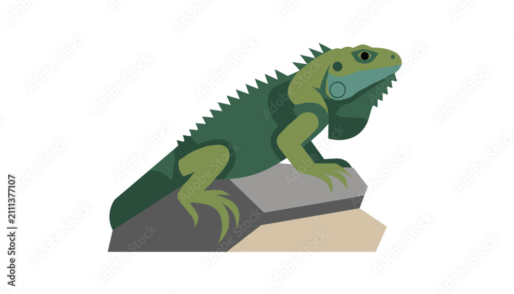 Obraz premium Detailed vector illustration of a green iguana lizard sitting calmly on grey rocks isolated on a clean white background.