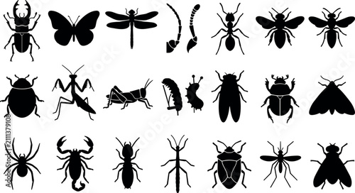 Schilderij op canvas Insect and arachnid wildlife species collection
