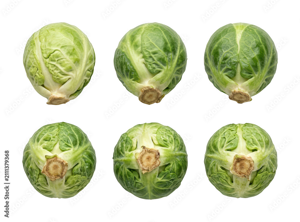Obraz premium Fresh brussels sprout png Green brussels sprout png Healthy brussels sprout cutout Organic brussels isolated transparent background image