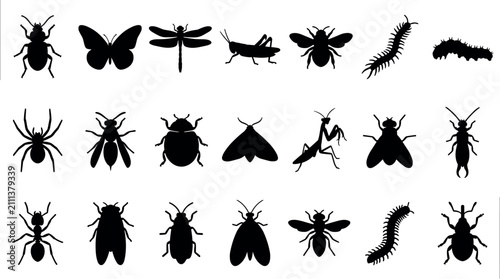 Obraz na płótnie Insects and bugs silhouette collection featuring diverse garden pests and pollin