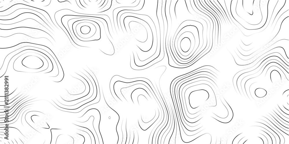 Obraz premium Abstract black and white topographic lines creating intricate patterns on white background