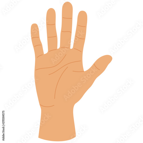 Illustration of a Hand Showing Five Fingers