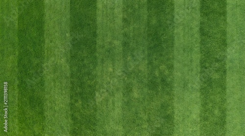 Green mowed grass field texture with stripe pattern top view