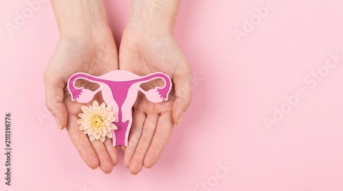 Female reproductive system paper cutout held in hands, pink uterus anatomy with flower, women health and gynecology medical concept