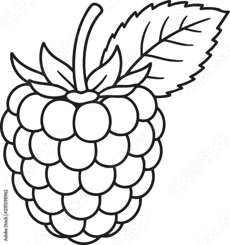 Fresh Raspberry Fruit Minimalist Black Outline Vector Icon Illustration