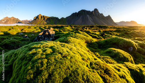 Moss Covered Lava Field with Mountains and Tent at Sunrise.